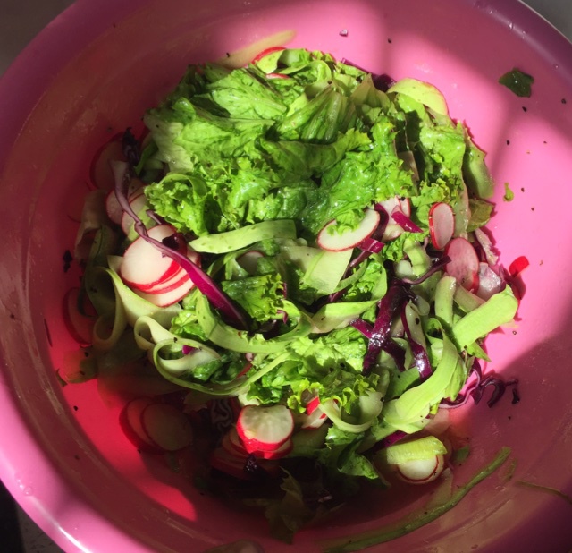 油醋蔬菜沙拉 Salad 'Basic'