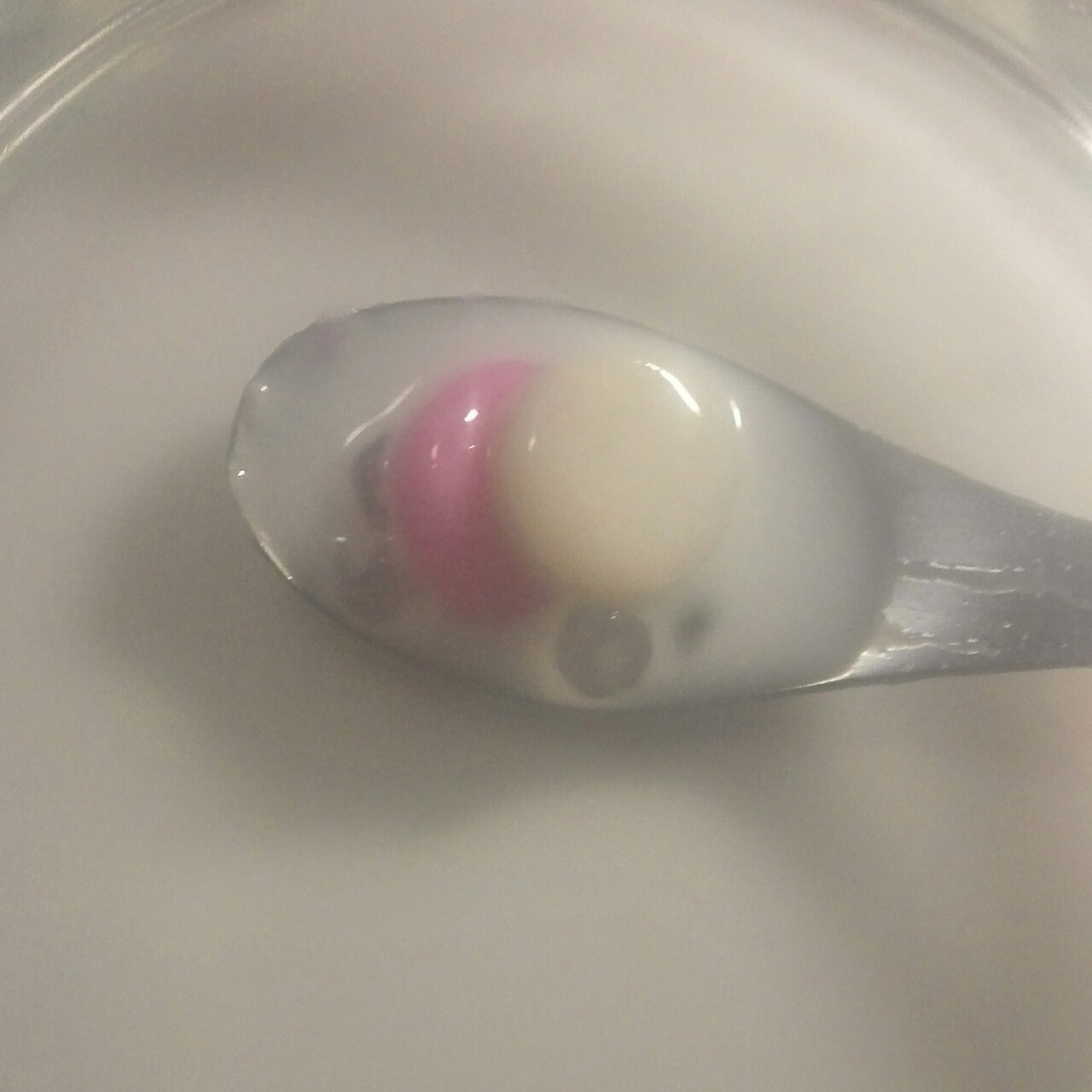 《Tinrry下午茶》教你做丸子椰汁西米露