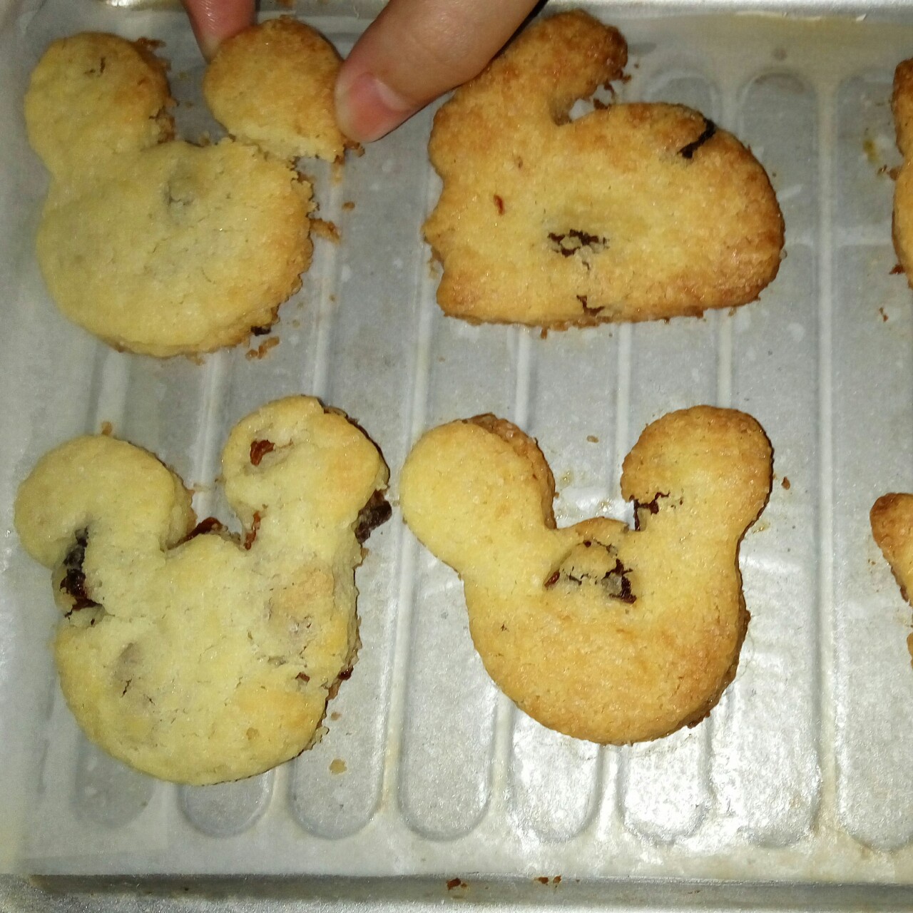 蔓越莓饼干--新手烘焙0压力 #皮黑森林#