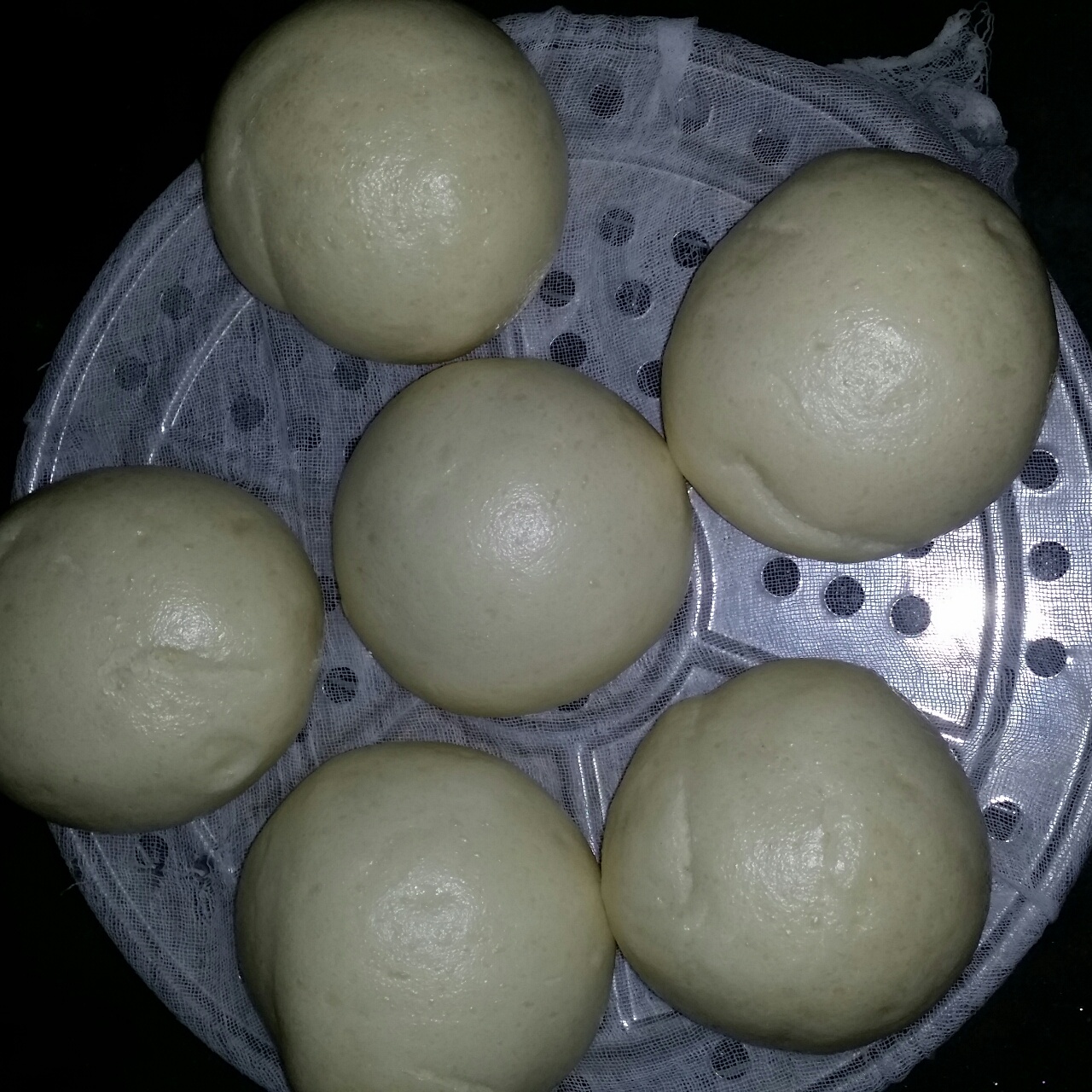 莫奇-1做的蒸馒头