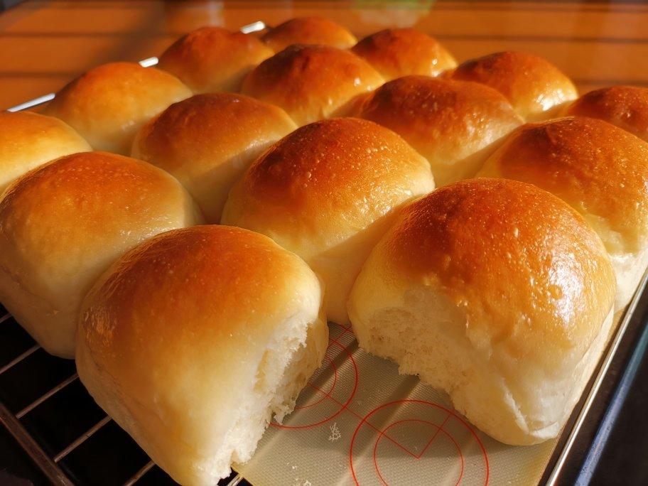 鲜奶油小餐包（一次发酵）