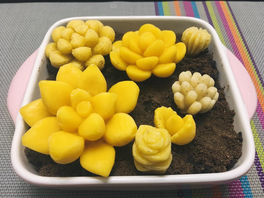 堂妈的多肉蛋糕