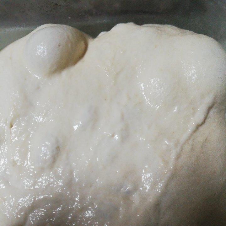 老面酵头 Bread Starter