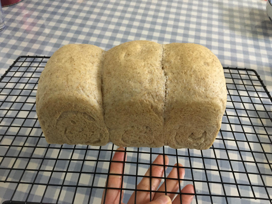 🍞全麦吐司直接法 （新良全麦面包粉）