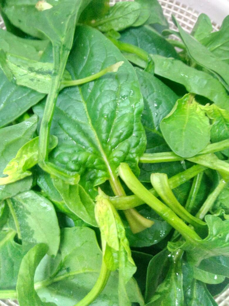 "什锦菜 / 十样菜 / 合菜"——食全食美的快手菜的做法 步骤10