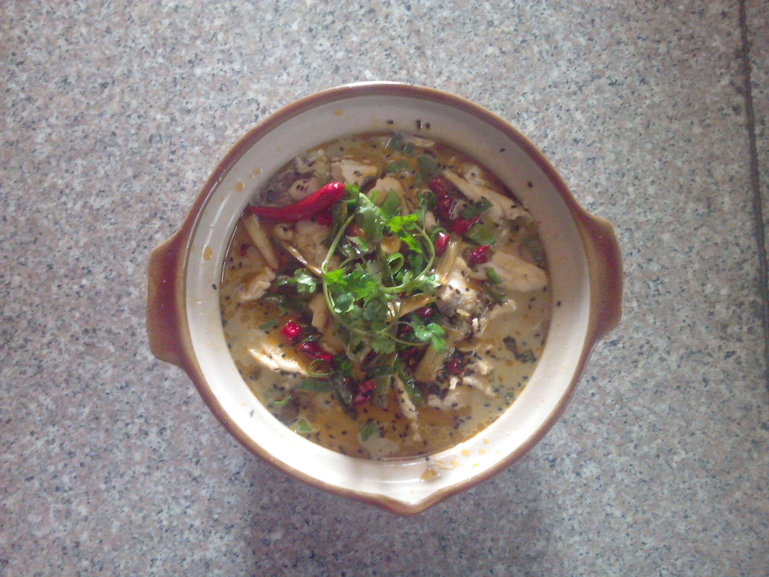 菜鸟的大菜——水煮肉（附万能水煮汤底)