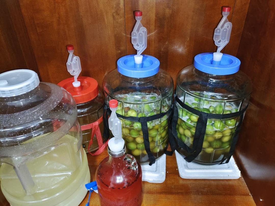 【古法蜂蜜青梅酒】不用高度酒，纯靠发酵出来的青梅酒