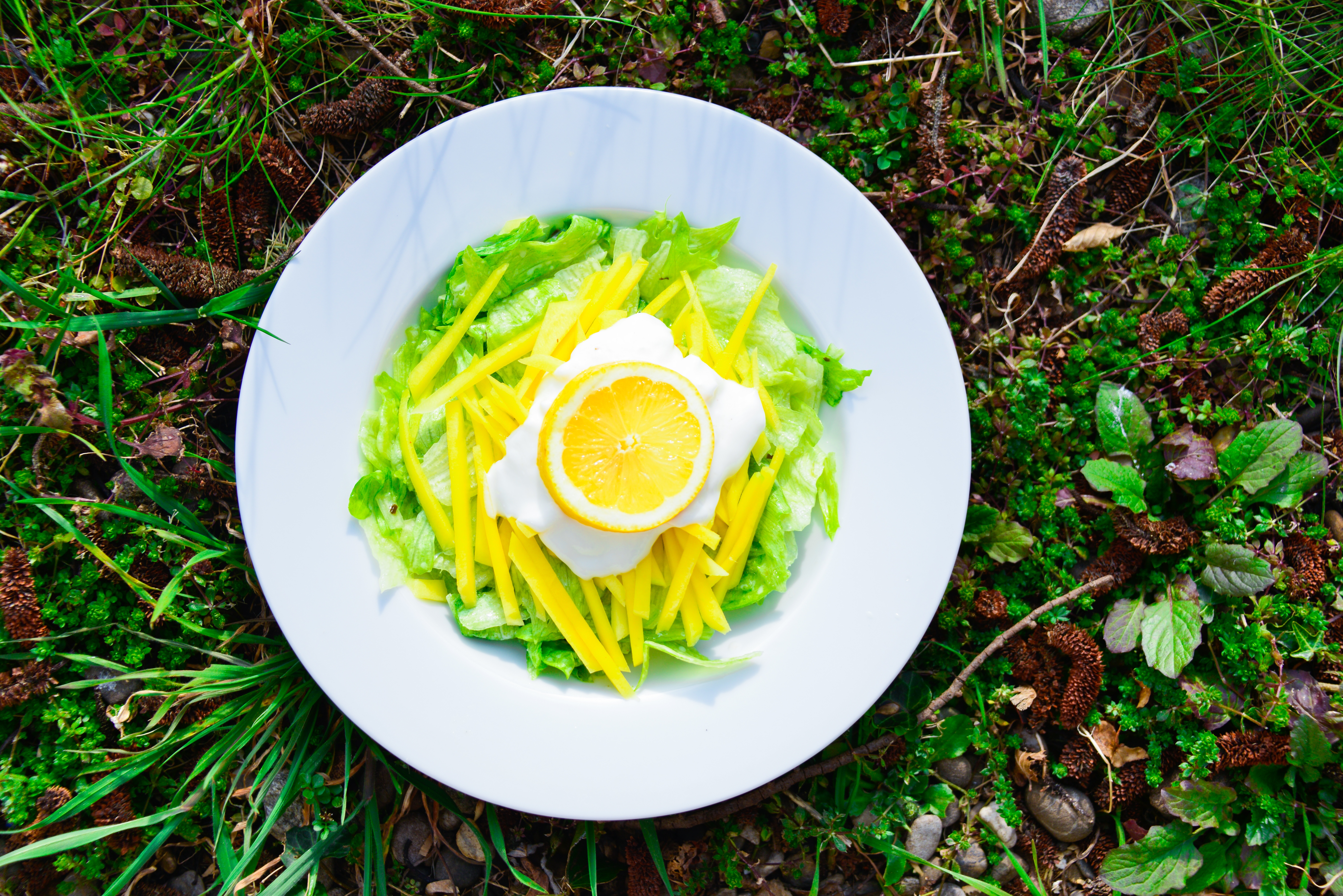 青芒果沙拉的全部作品