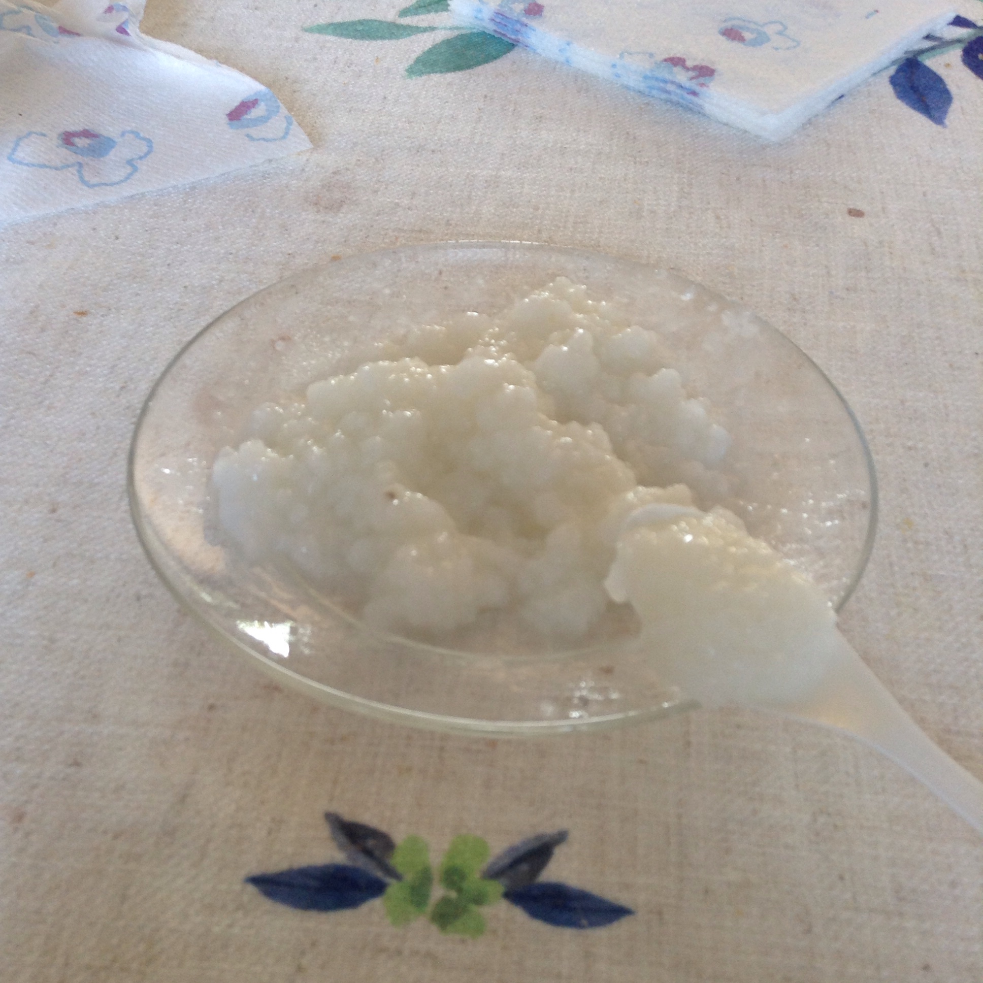 大米砂糖布丁🍮的做法 步骤3