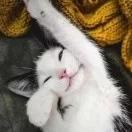 厨渣吃货于小萌