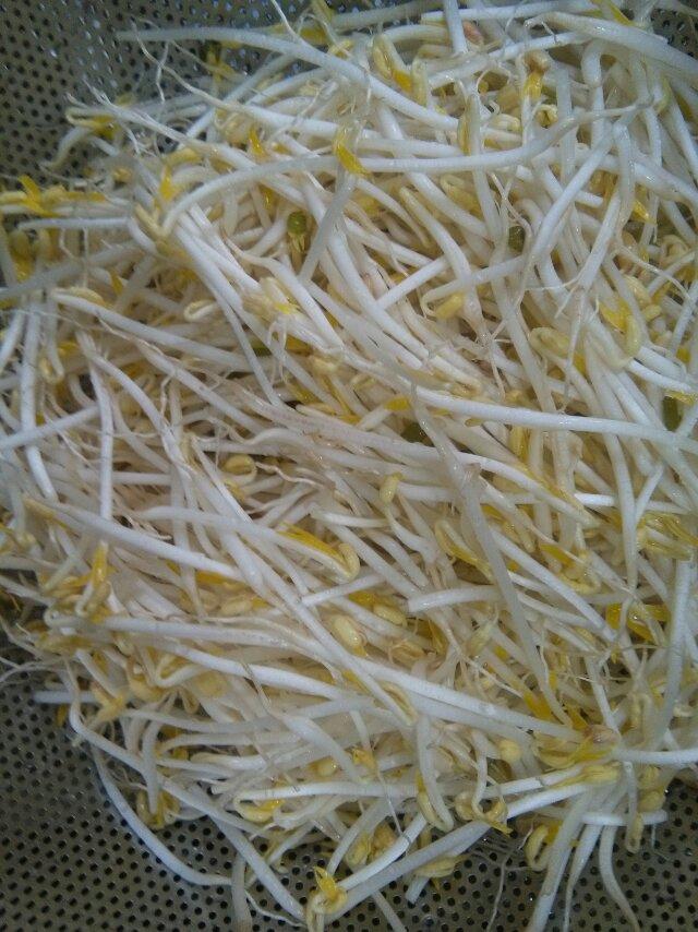 自己在家发豆芽