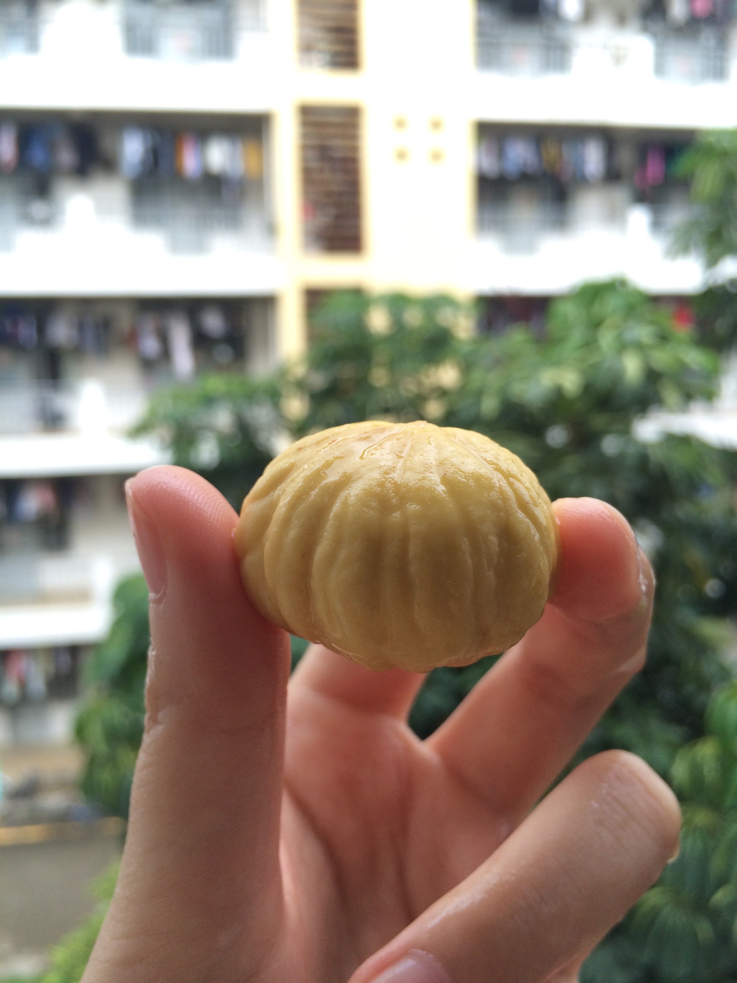 板栗🌰骨头汤