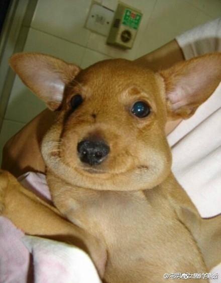 拔智齿饮食记录