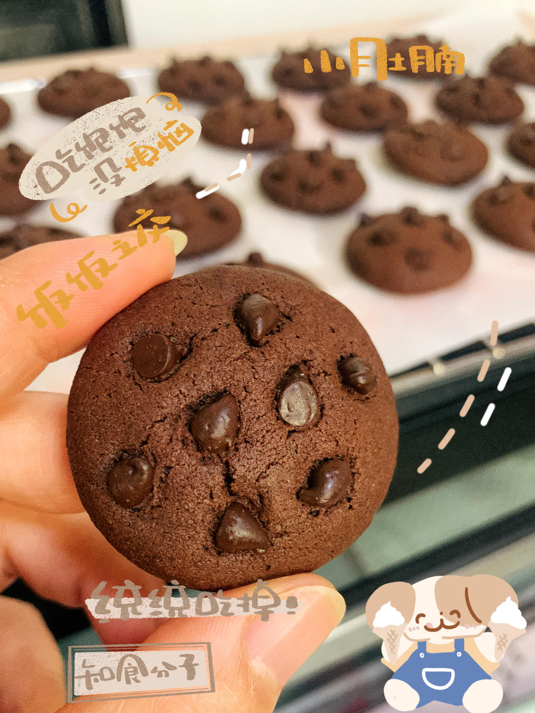 巧克力豆曲奇
