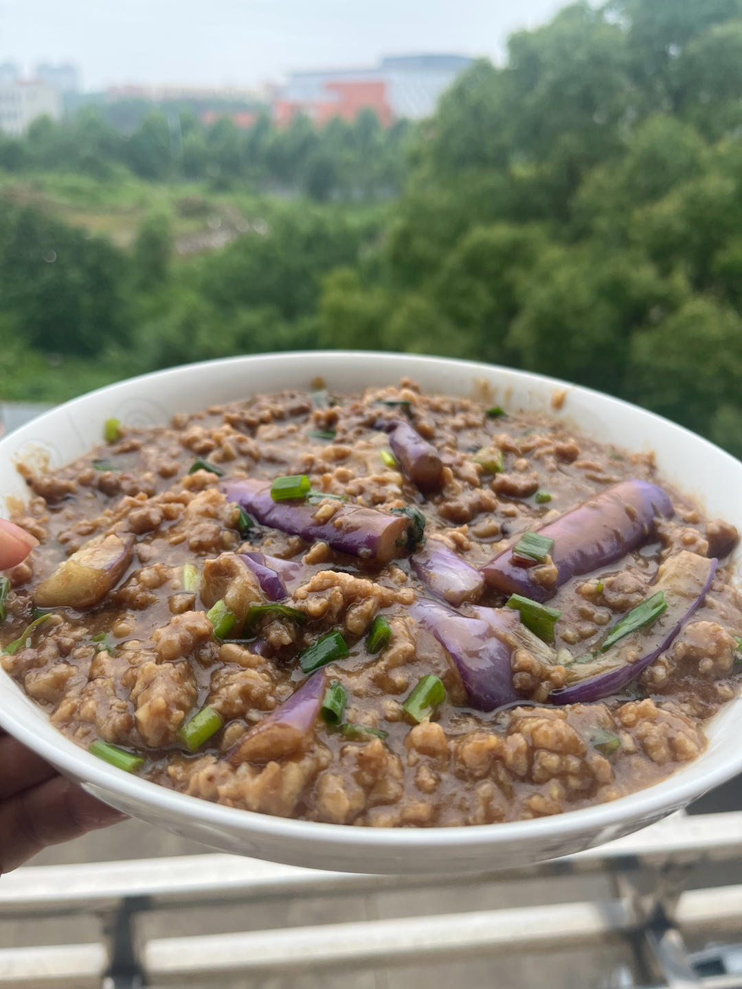 红烧肉沫茄子