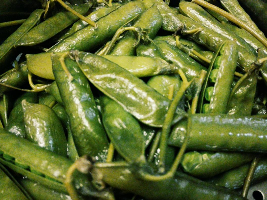 豌豆的朴素吃法