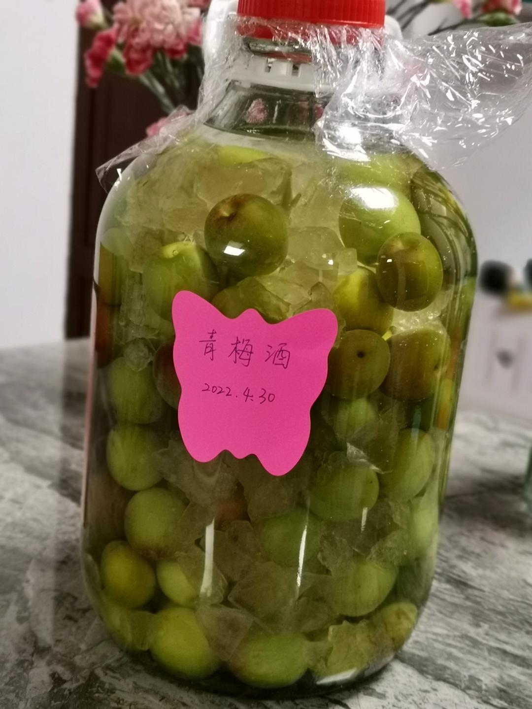 《青梅酒》你想了解的都在这儿