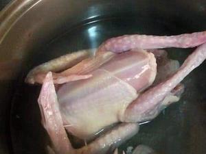 滋补乳鸽汤的做法 步骤1