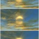 手机用户5798_msx5