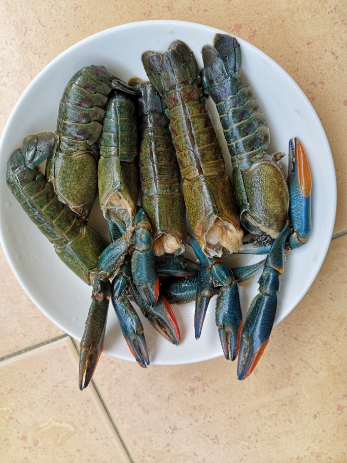 超级鲜美的澳洲蓝龙虾