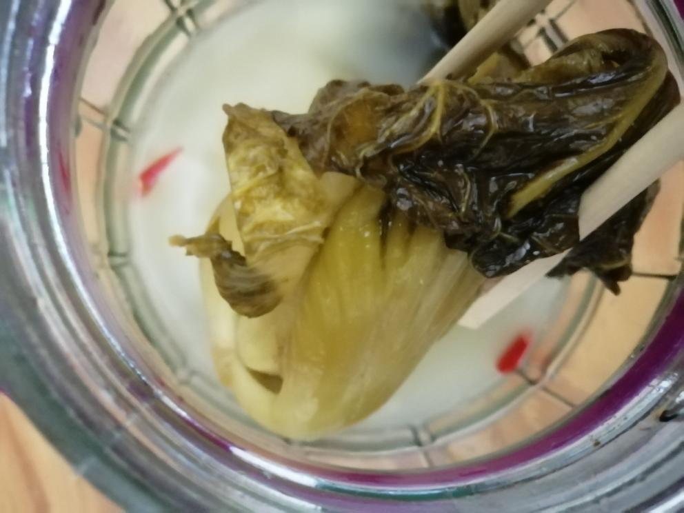 酸菜(保证脆爽：不需要醋/不需要淘米水)