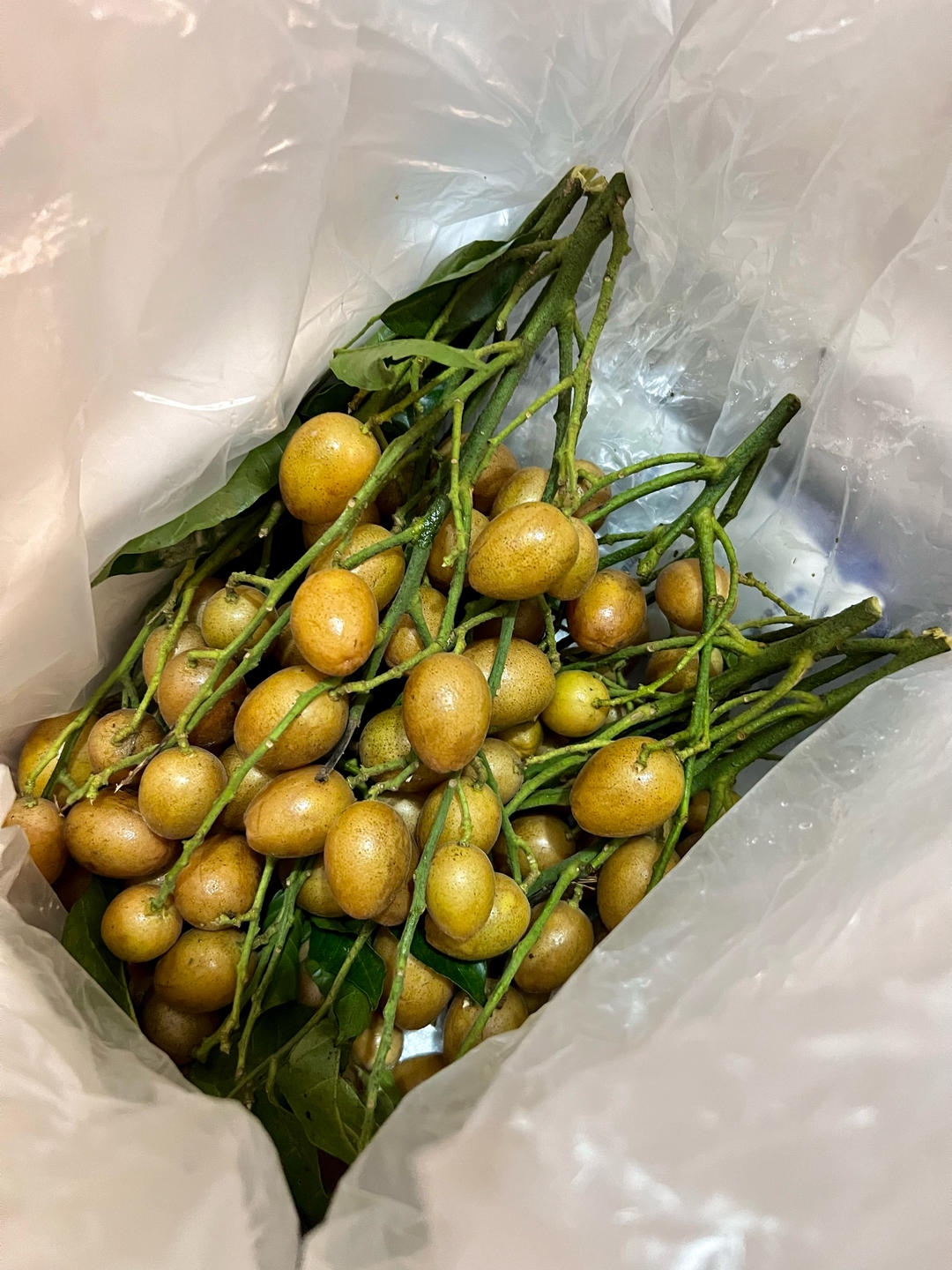 黄皮蜜饯（黄皮膏）