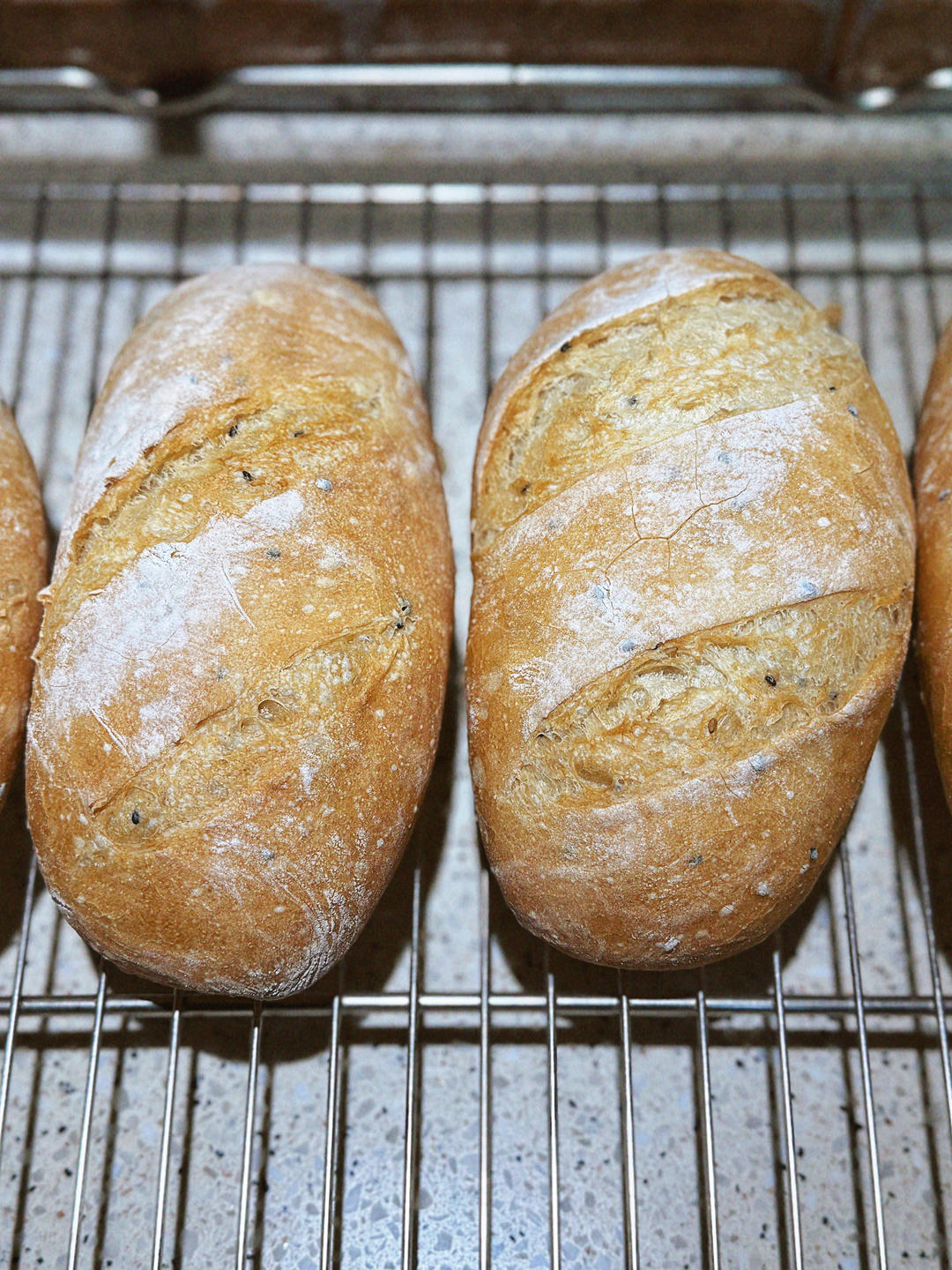 免揉面包之十四：多谷物种子欧包（波兰种）