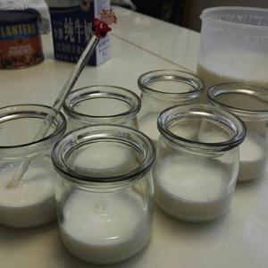 面包机酸奶的做法 步骤2