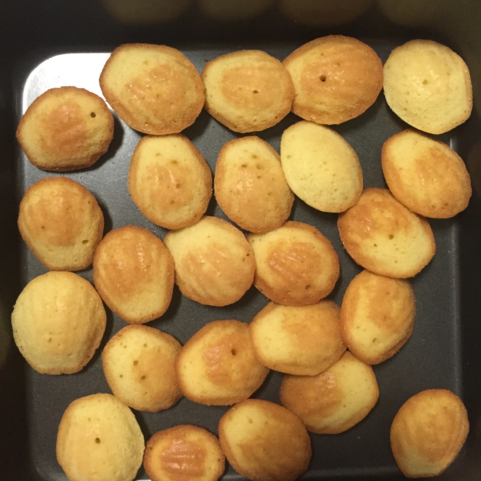 玛德琳（蓝带方）