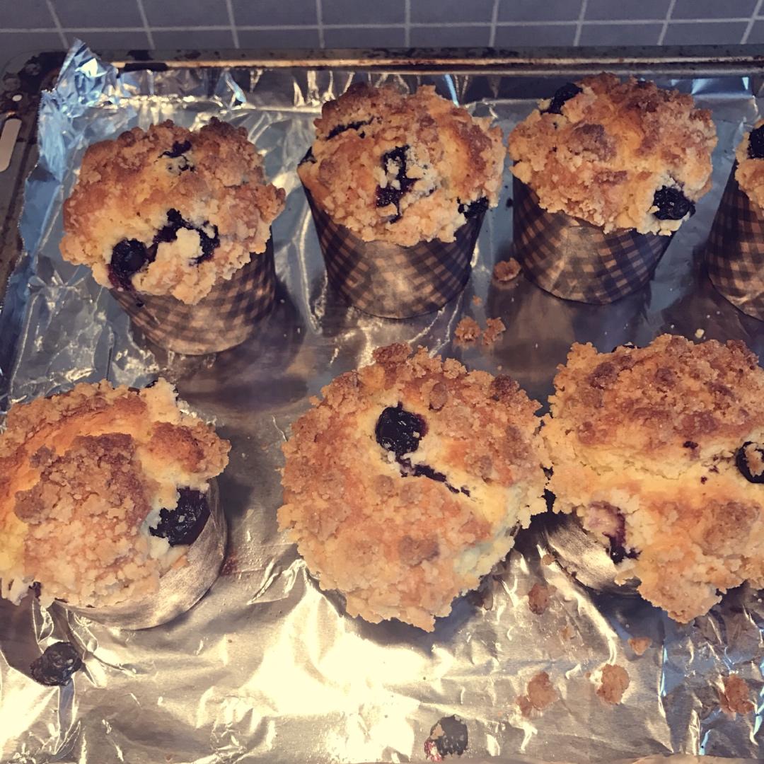 PH大师的金宝顶蓝莓马芬