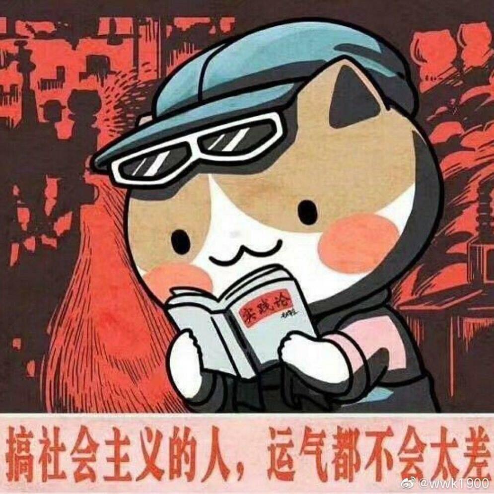 敦吨炖