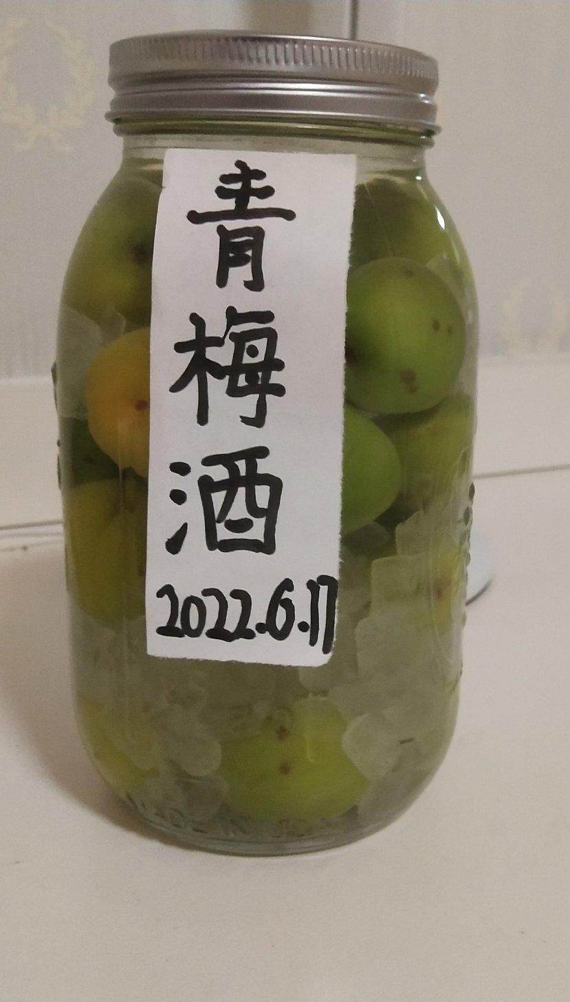 【青梅酒】梅子的沉醉时光（已填坑）