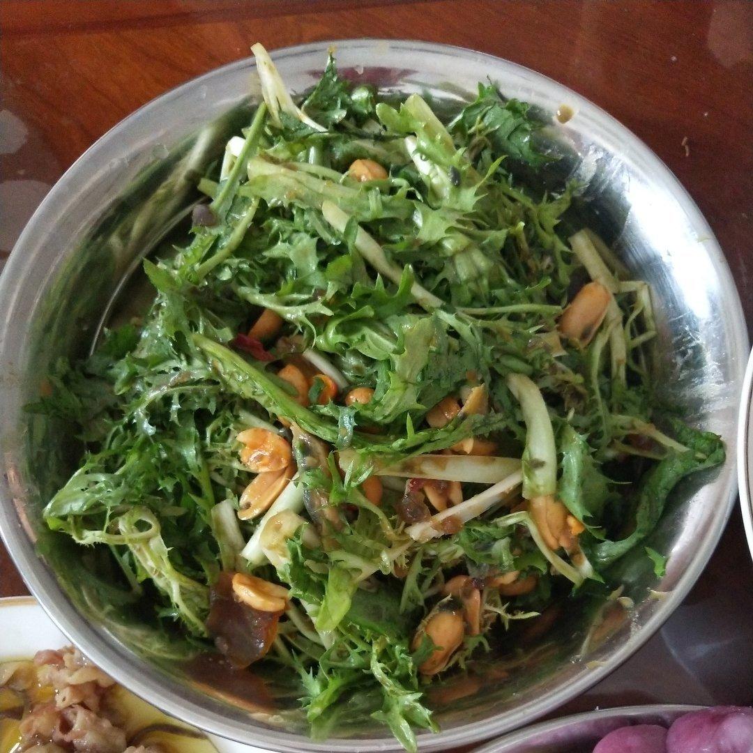 凉拌苦菊