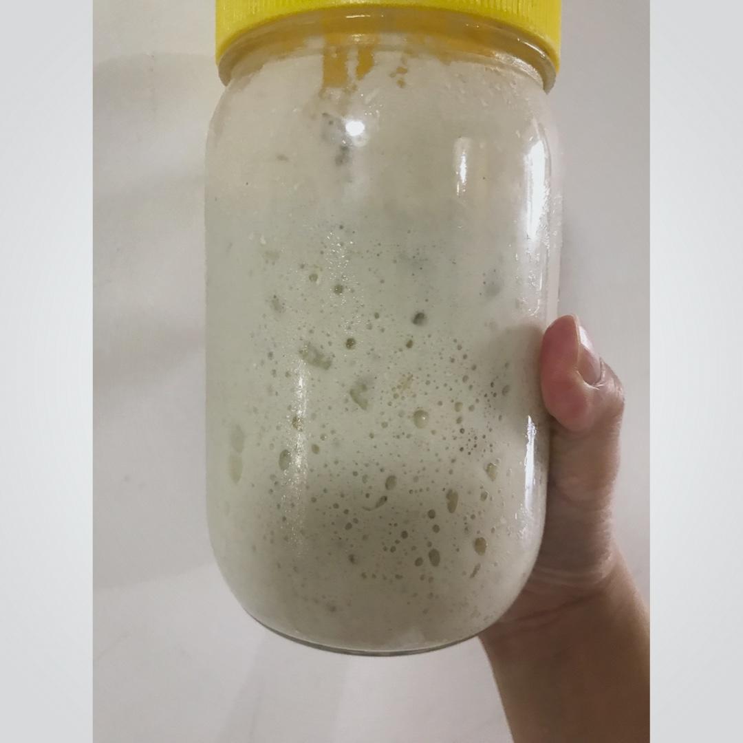 天然酵母宝宝养成记