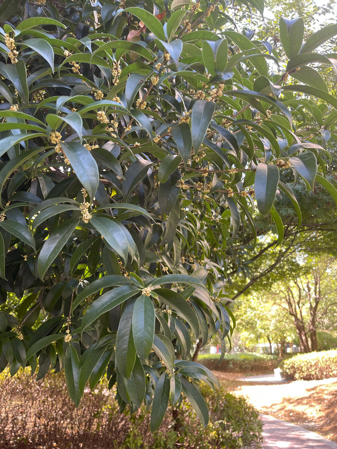 我的花花世界………
