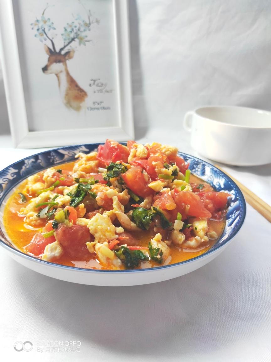 吃了它我能多吃一碗米饭|超级简单开胃的西红柿炒鸡蛋的做法