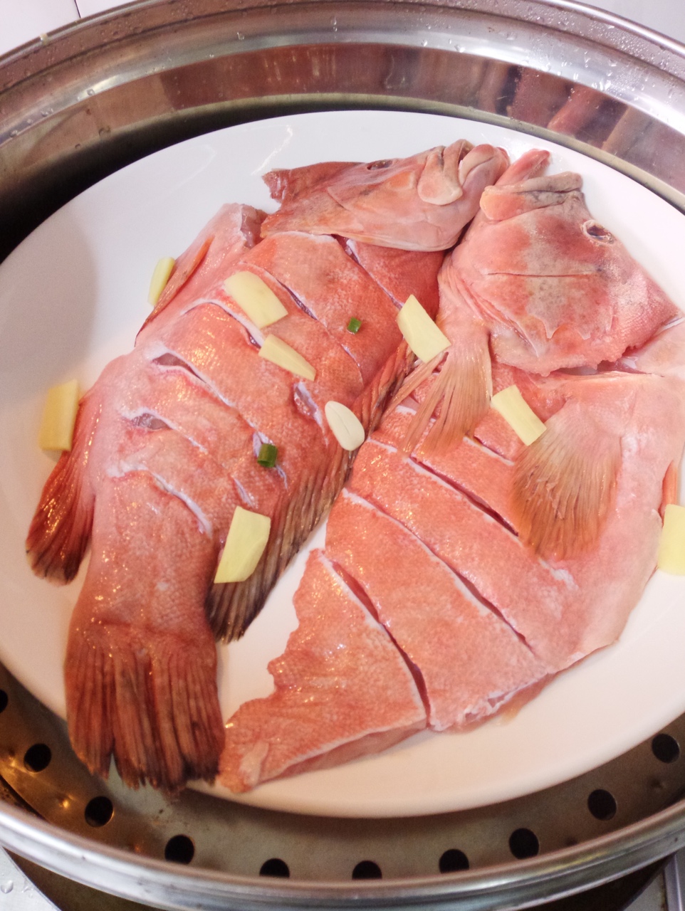 红瓜子斑鱼（深海鱼）的做法