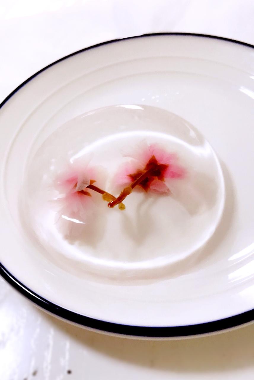 樱花水信玄饼