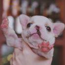 su苏苏苏苏苏苏