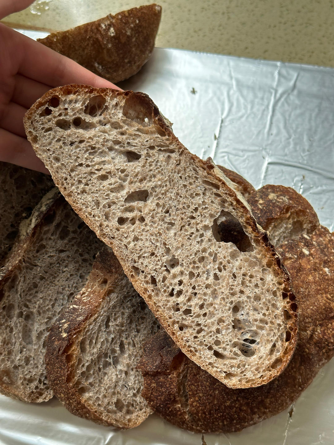 天然酵母 T65 野性 基础硬欧包