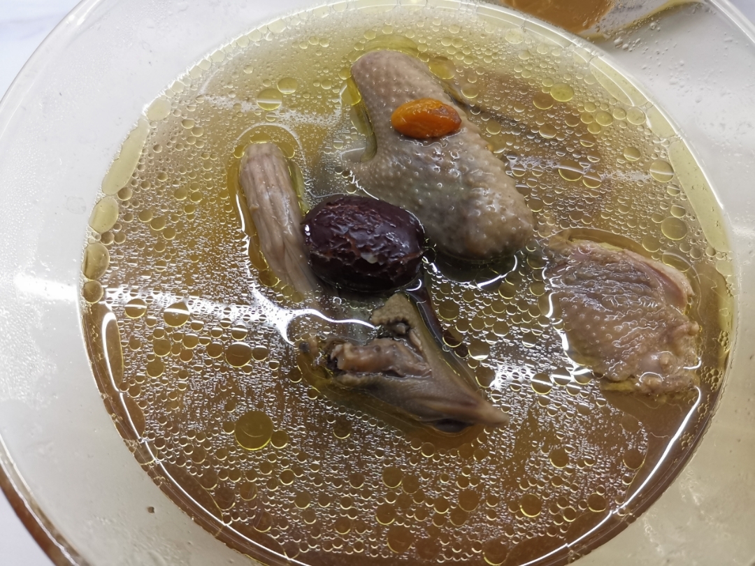 增强体质活血化瘀促进术后康复做法简单的营养鸽子汤