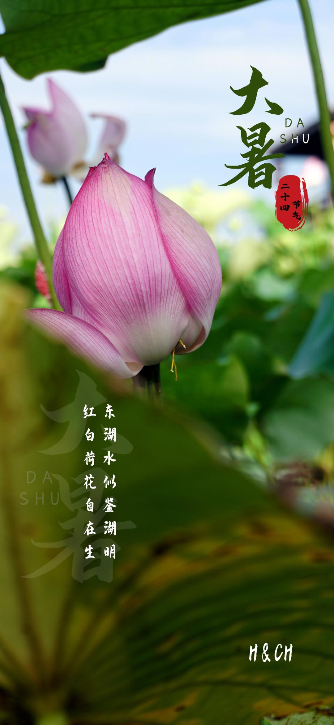 二十四节气的图