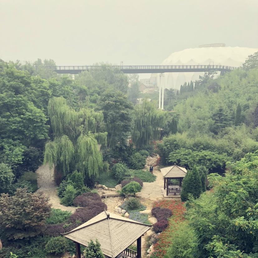 我是一头小毛驴滴滴答答