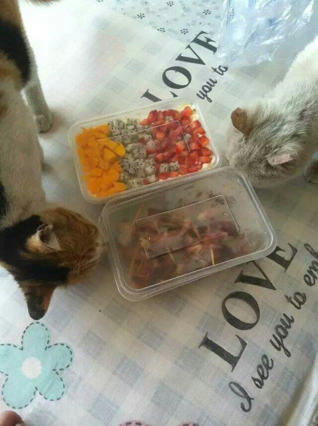 蛋糕水果盒子
★快手美味甜品★