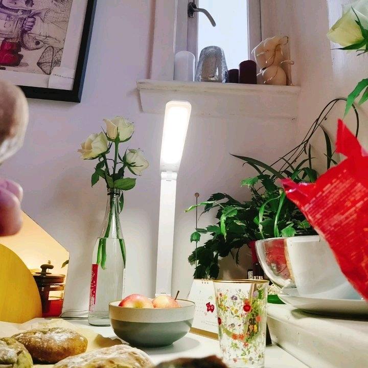 经典抹茶红豆奶酪软欧包水合法一次发酵