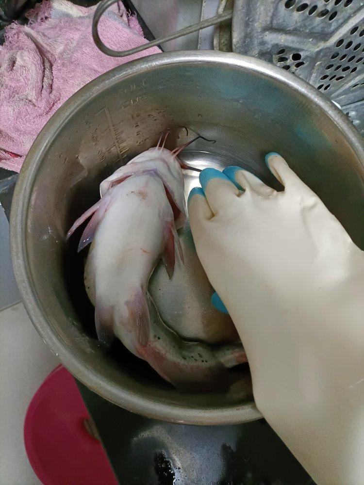红烧鲶鱼