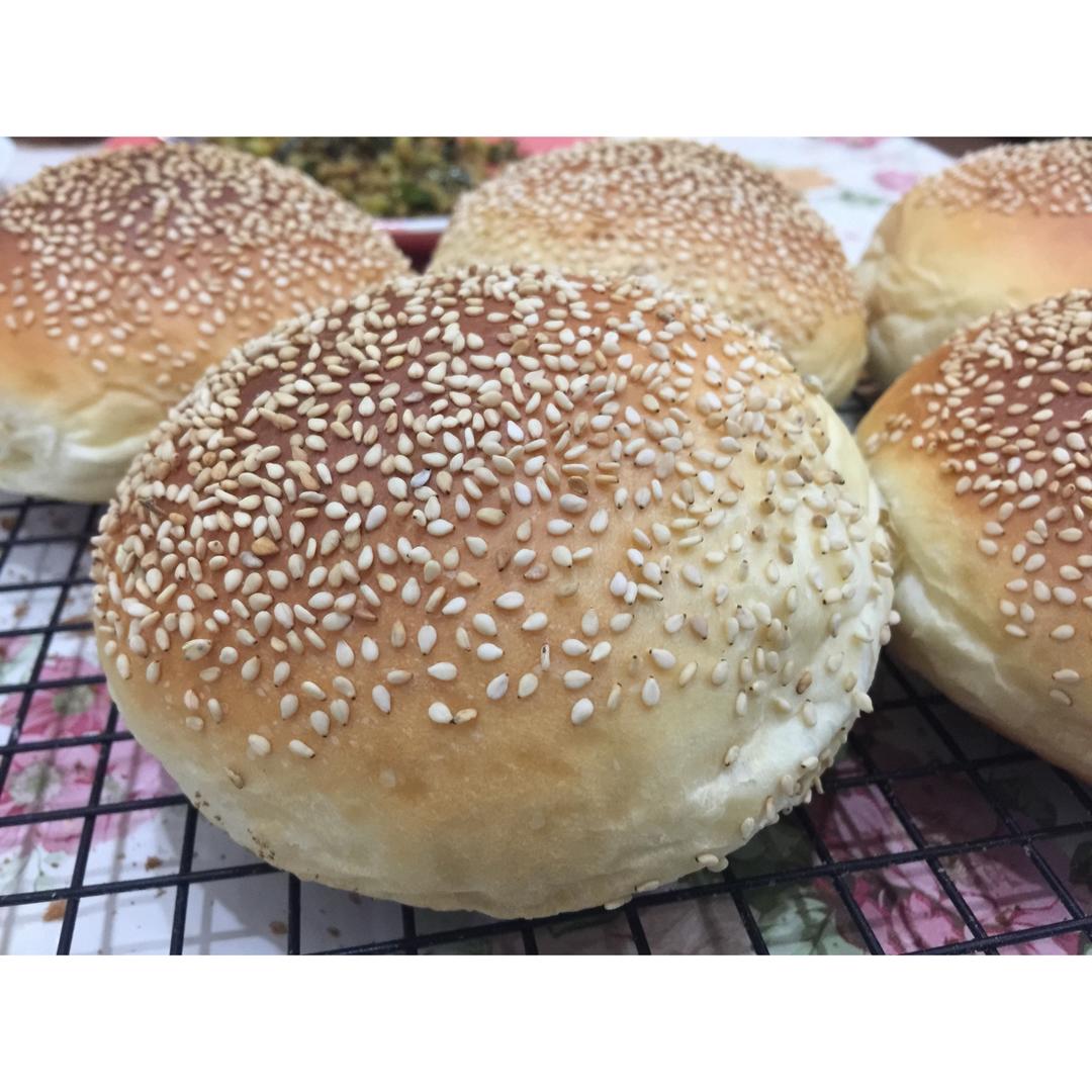 汉堡胚（中种法）