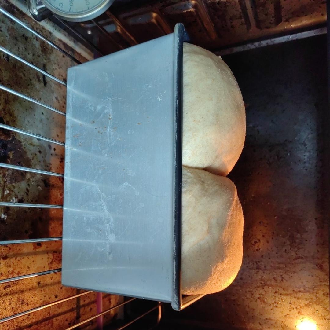 100%真全麦吐司