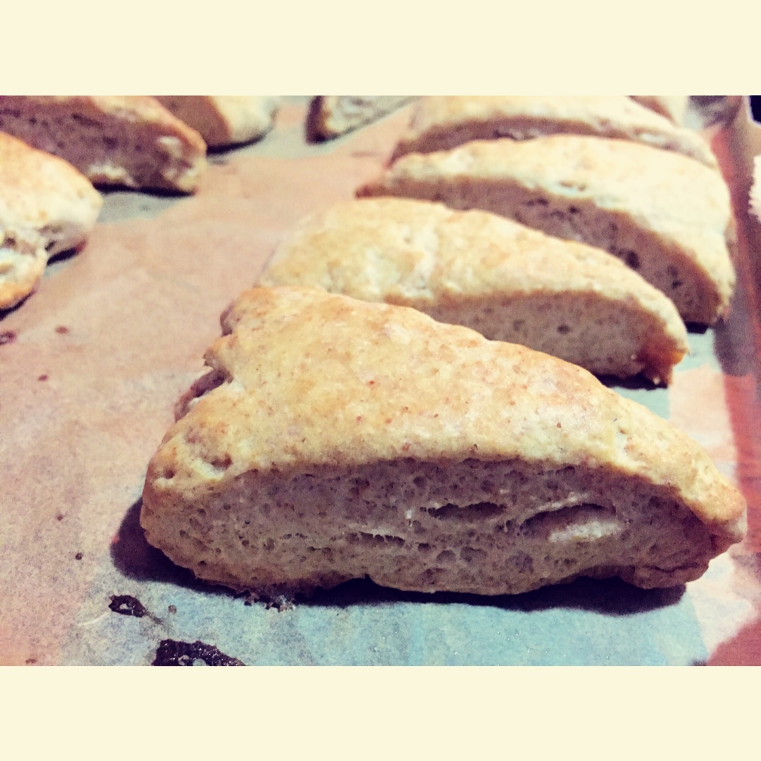 朴素的椰子油咸司康<Coconut Oil Biscuits>