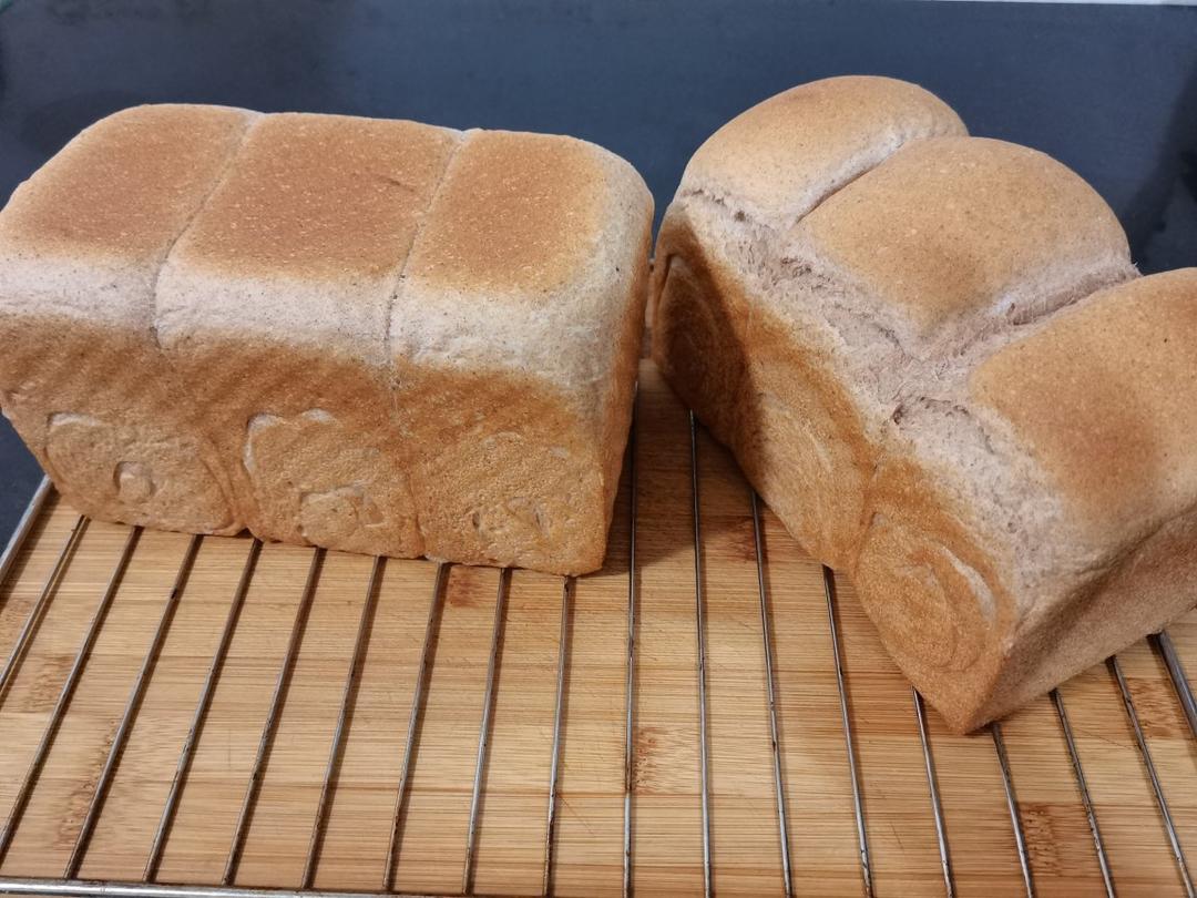 波兰种全麦吐司